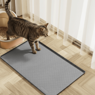 chat sortant ses pattes sur le tapis pour litiere chat gris