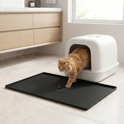 chat sortant ses pattes sur le tapis pour litiere chat noir