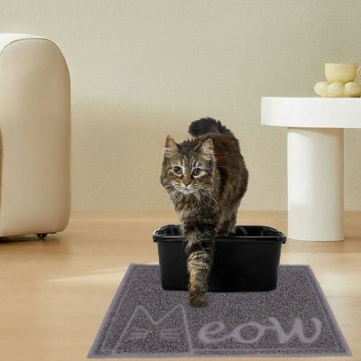 chat sortant sur le tapis litiere chat gris