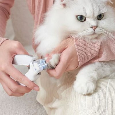 Chat sur les genoux pendant la coupe griffe pour chat avec lumière