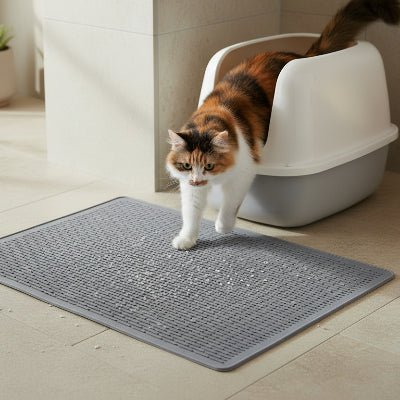 chat taché sortant ses pattes sur le tapis pour litière chat 