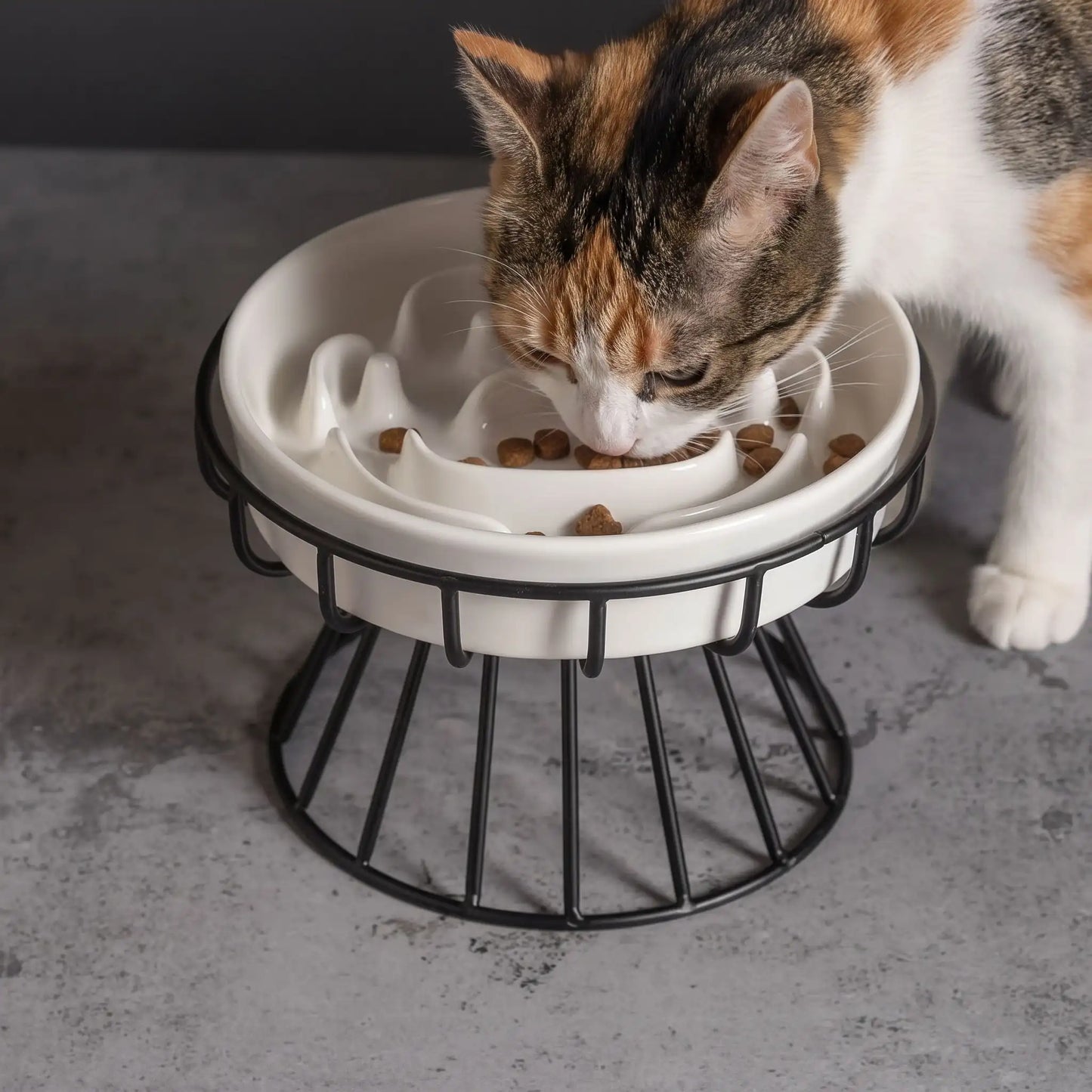 chat taché utilise la Gamelle anti glouton pour chat en céramique