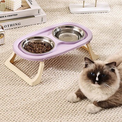 chat tête brun allonger à côté de la gamelle surélevée chat