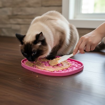 chat tête brun léchant le Tapis de lechage