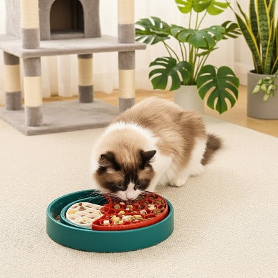 Chat à tête brune mangeant des croquettes dans une gamelles anti glouton chat