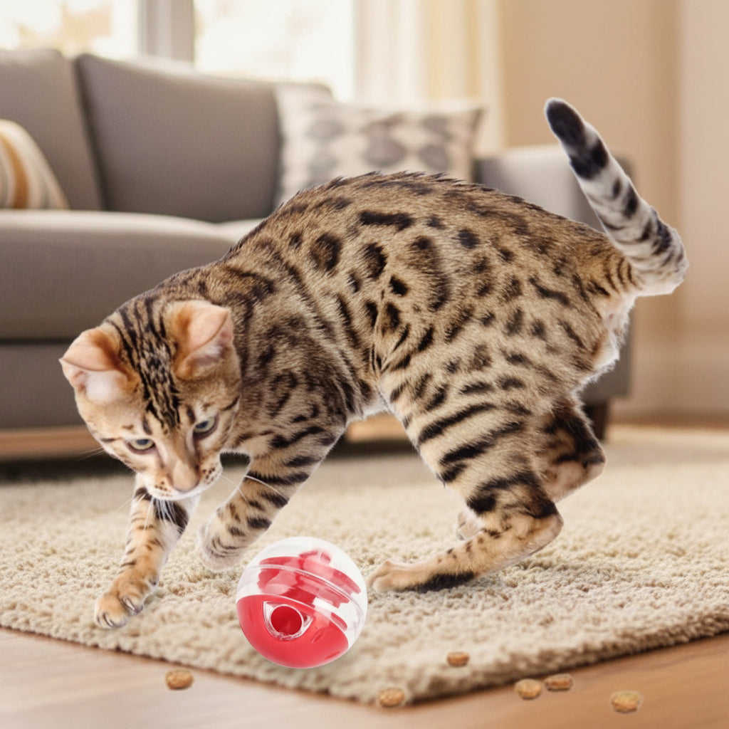 chat tigre jouant avec jouet distributeur de croquettes pour chat 