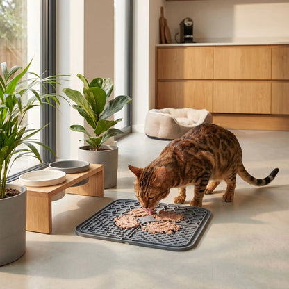 chat tigré mangeant sur le tapis anti glouton chat