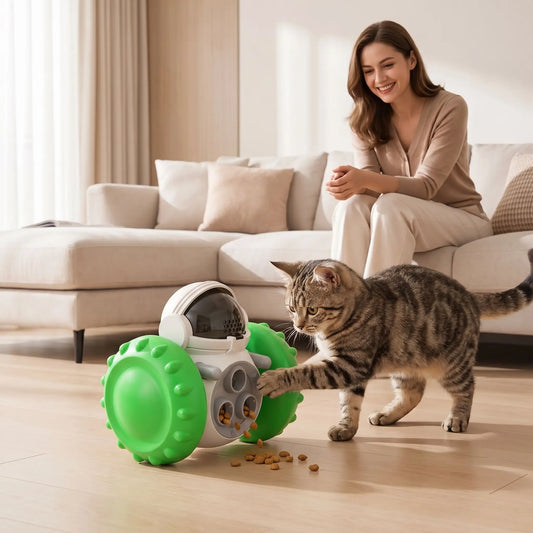 chat touchant le Jouet distributeur de croquettes chat