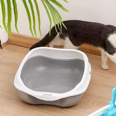 Le chat tourne autour du bac à litière pour chat