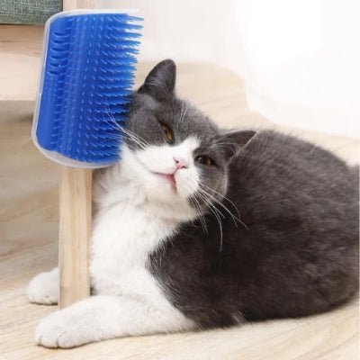Chat utilisant une brosse chat murale pour se gratter