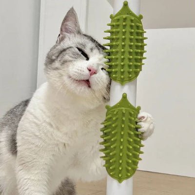 Chat utilisant une brosse pour chat attachée à une chaise