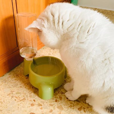 Chat utilisant une Distributeur eau chat pour s’hydrater