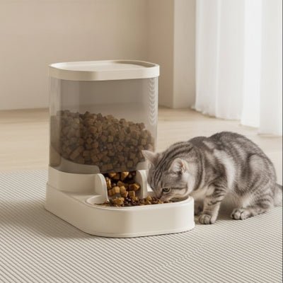 chat utilise le distributeur de croquettes pour manger