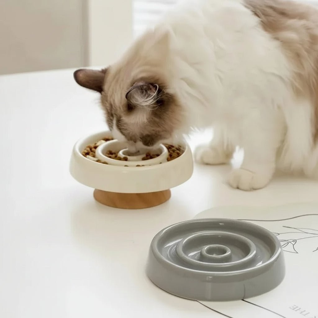 chat utilise la Gamelle anti glouton surélevée pour chat en céramique 