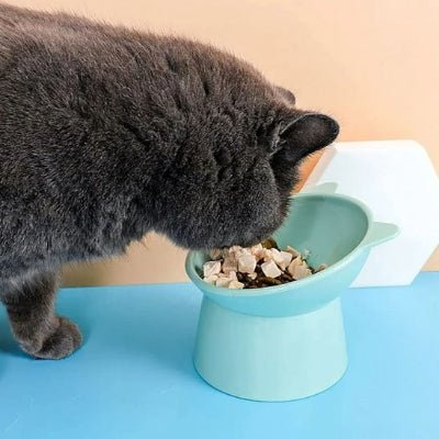chat utilise gamelle en hauteur pour chat