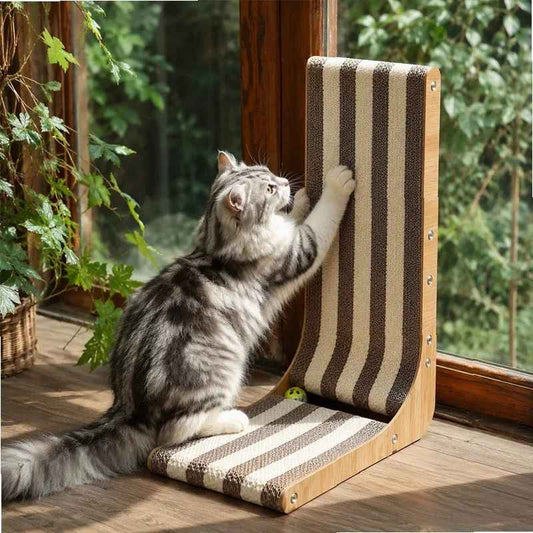 chat utilise le griffoir chat prés de la fenêtre 