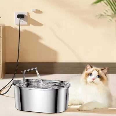 chat yeux bleu allongé à côte fontaine a eau pour chat