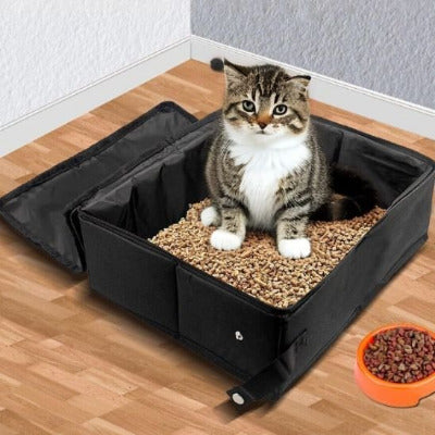 un chaton est accroupi dans le bac a litiere pour chat