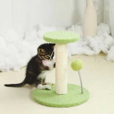 chaton fait ses griffes sur le griffoir pour chat