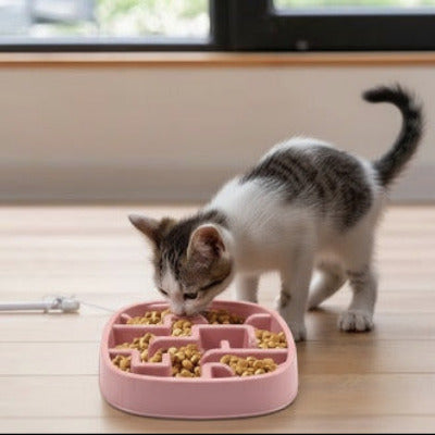 Chaton mangeant son repas dans une gamelle anti glouton chat