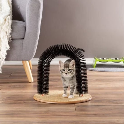 chaton se gratte dos avec brosse poil chat