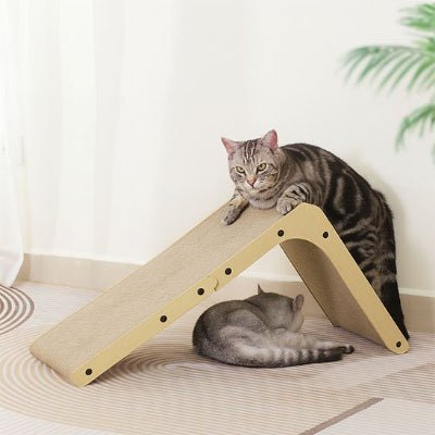 Chats s’amusent à se cachés dans le griffoir pour chat