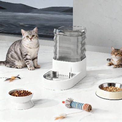 chats restent à côté de la fontaine eau pour chat dans un coin repas