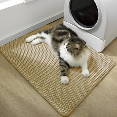 Chat assis devant son bac sur un tapis litière chat 