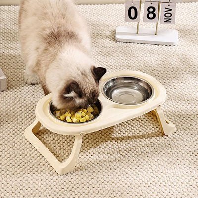 chatte beige mangeant dans une gamelle surélevée chat