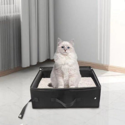 Le chat est accroupi dans le bac a litiere pour chat