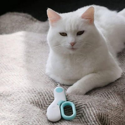 chatte blanche allongé à côte d'un Coupe griffe chat