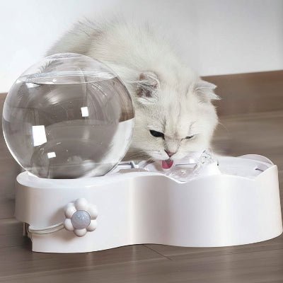 chatte blanche buvant l'eau dans la fontaine eau avec détecteur de mouvement