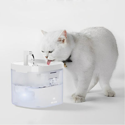 chatte blanche buvant fontaine a eau pour chat