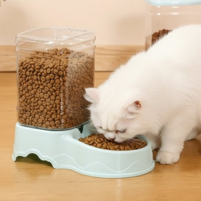 Chatte blanche mangeant dans distributeur de de croquettes
