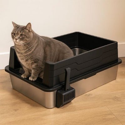 Le chat est debout dans le bac à litière pour Chat