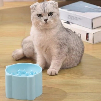 chatte grise regarde la gamelle anti glouton chat bleue