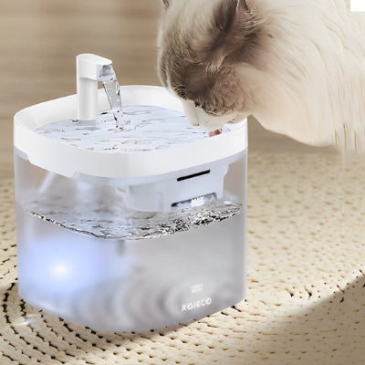 Chatte s'hydrate de la fontaine a eau pour chat