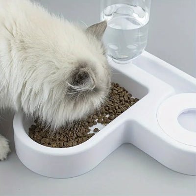 Chat prenant son repas dans une gamelle chat automatique
