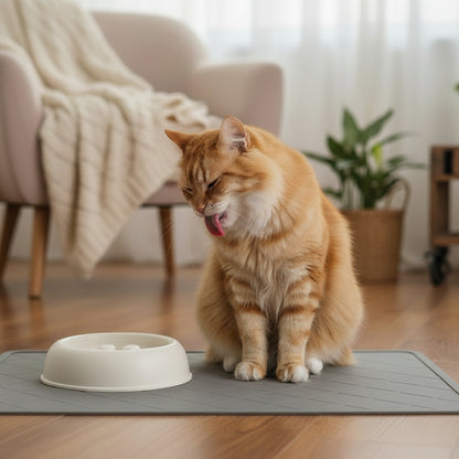 chatte se lèche prés de la gamelle chat anti glouton