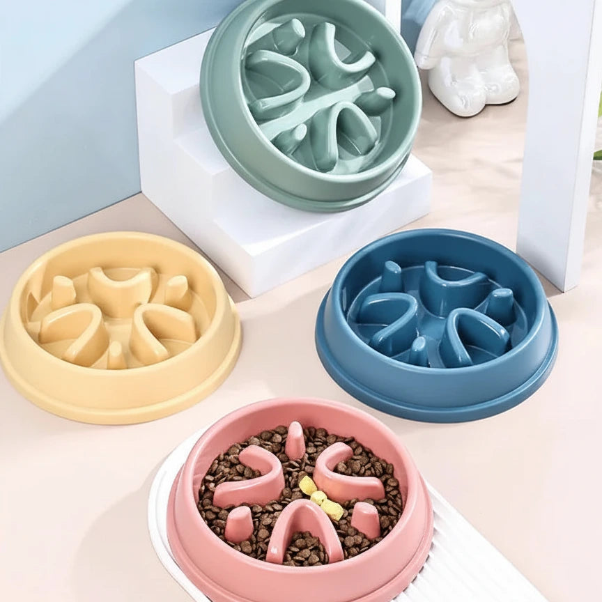 coloris gamelle chat anti glouton 