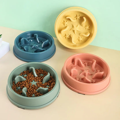 coloris de la gamelle pour chat anti glouton