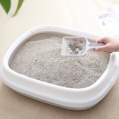 Une dame nettoie le bac a litiere pour chat