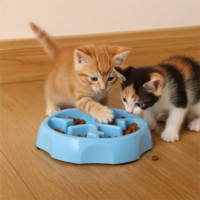 deux chatons jouant à côté d’une gamelle anti glouton bleue