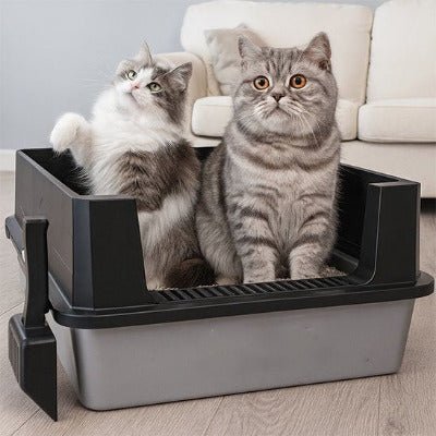deux chats dans le bac à litière pour Chat extra large
