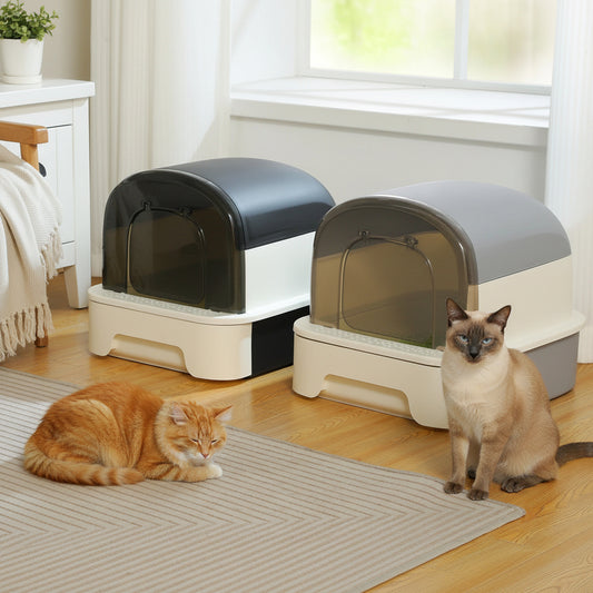deux chats devant le  bac a litiere a chat 