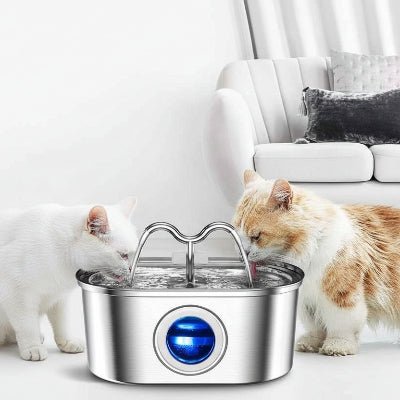 deux chat en train de boire dans la fontaine à chat avec double robinets
