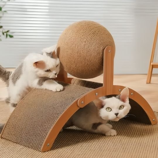 deux chats sur griffoir pour chat design