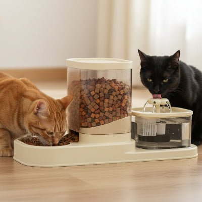 deux chats utilisant le distributeur de croquette 