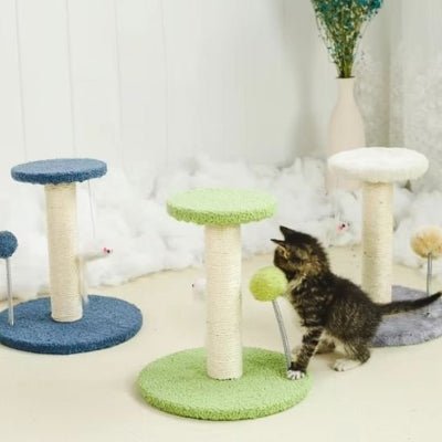 différent coloris de griffoir pour chat