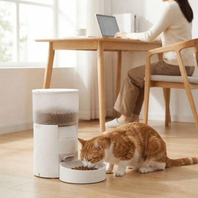 distributeur automatique de croquettes chat dans le bureau de propriétaire